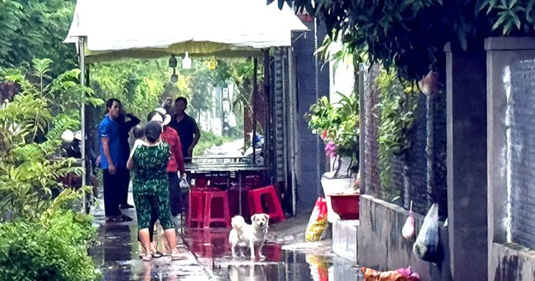 Hô Chi Minh-Ville : Nguyễn Trí Hào Arrêté Après Une Attaque Par Jalousie
