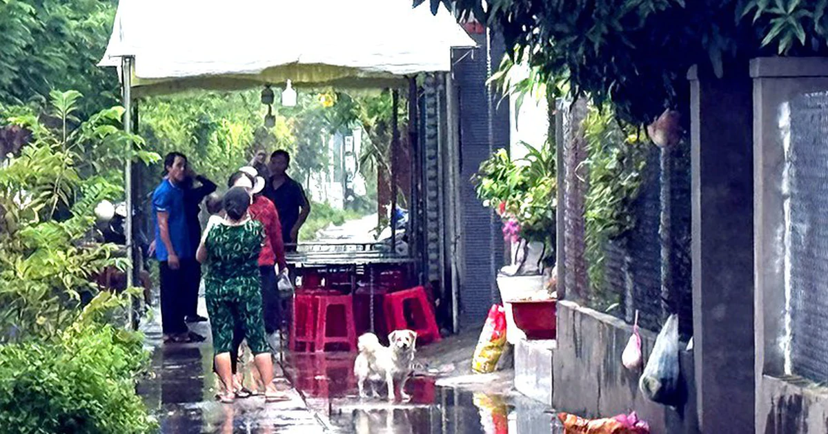 Hô Chi Minh-Ville : Nguyễn Trí Hào Arrêté Après Une Attaque Par Jalousie