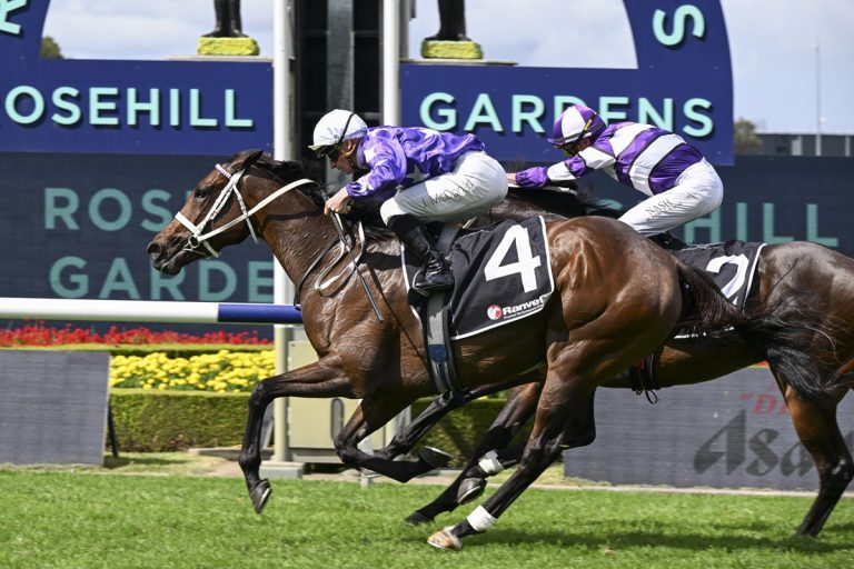 Sir Delius favori pour le Turnbull Stakes malgré une piste lourde
