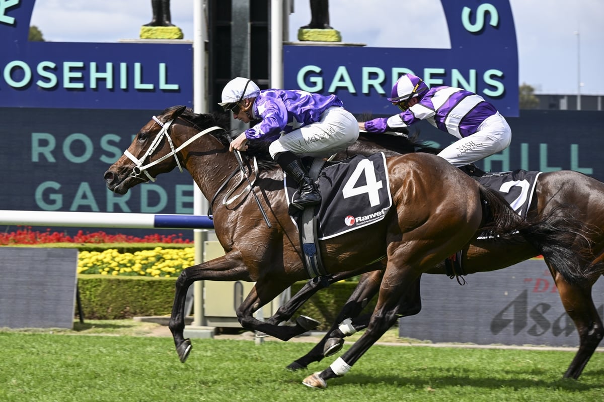 Sir Delius favori pour le Turnbull Stakes malgré une piste lourde