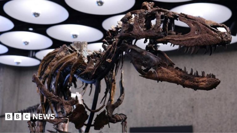 Sotheby's mettra aux enchères un Nanotyrannus pour 4,5 millions £