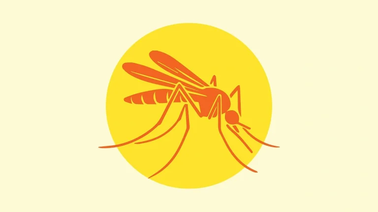 L'Australie déploie le vaccin Qdenga face à la hausse des cas de dengue