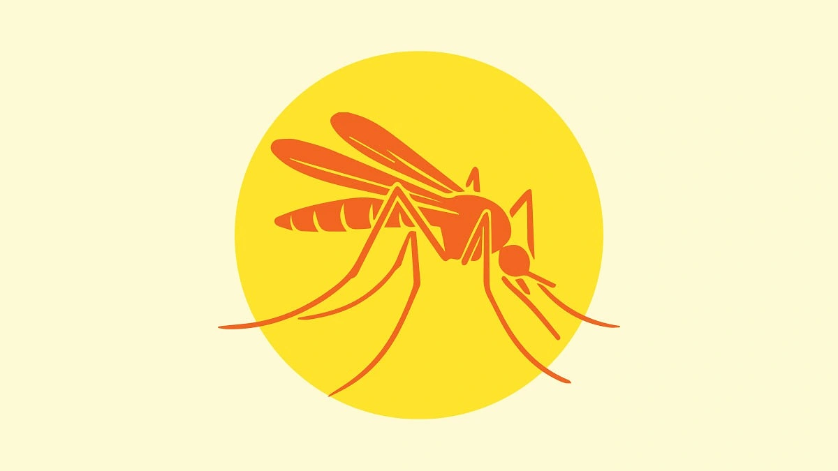 L'Australie déploie le vaccin Qdenga face à la hausse des cas de dengue