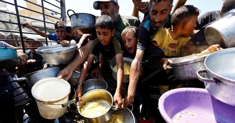 Benjamin Davis conteste son licenciement de la FAO après avoir évoqué Gaza