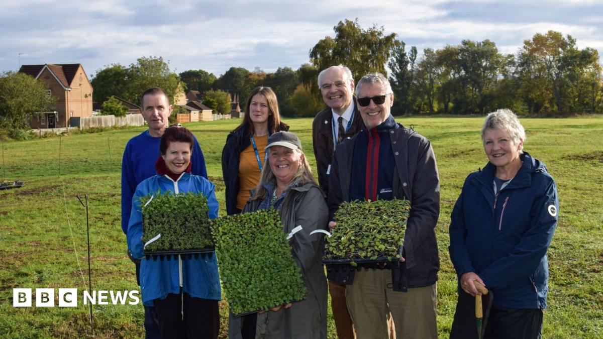 Cambridge : des chevaux transportent du foin pour une prairie fleurie