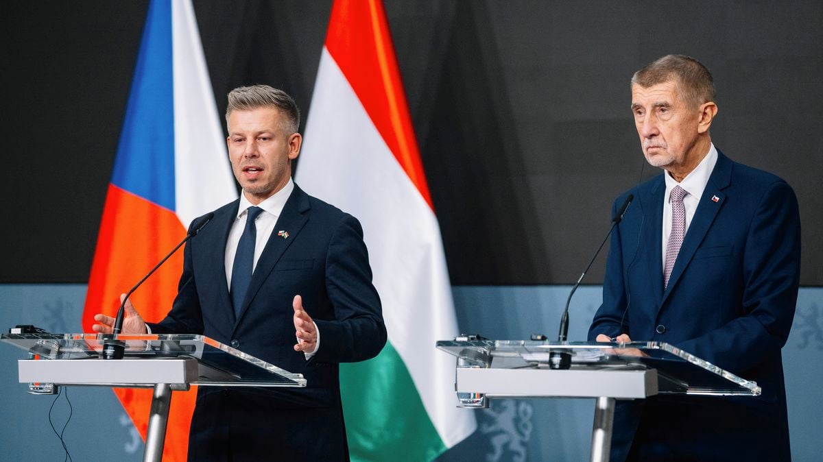 Premier sommet intergouvernemental entre la République tchèque et la Hongrie à Prague