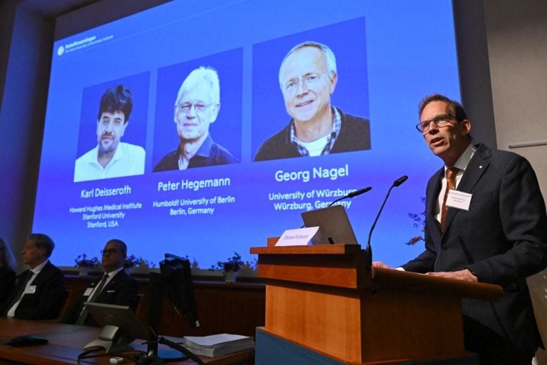 Karl Deisseroth, Peter Hegemann et Georg Nagel remportent le Nobel de médecine