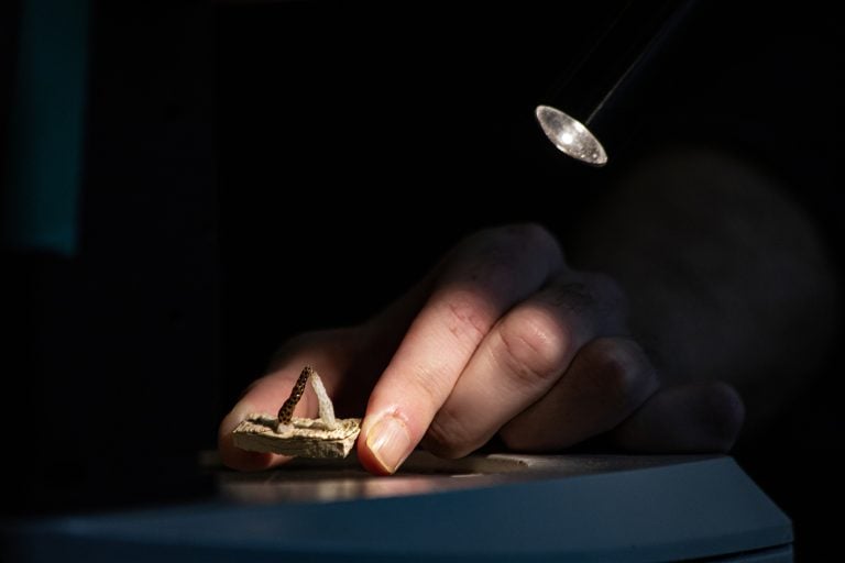 Stanford découvre comment inverser le blanchissement des coraux