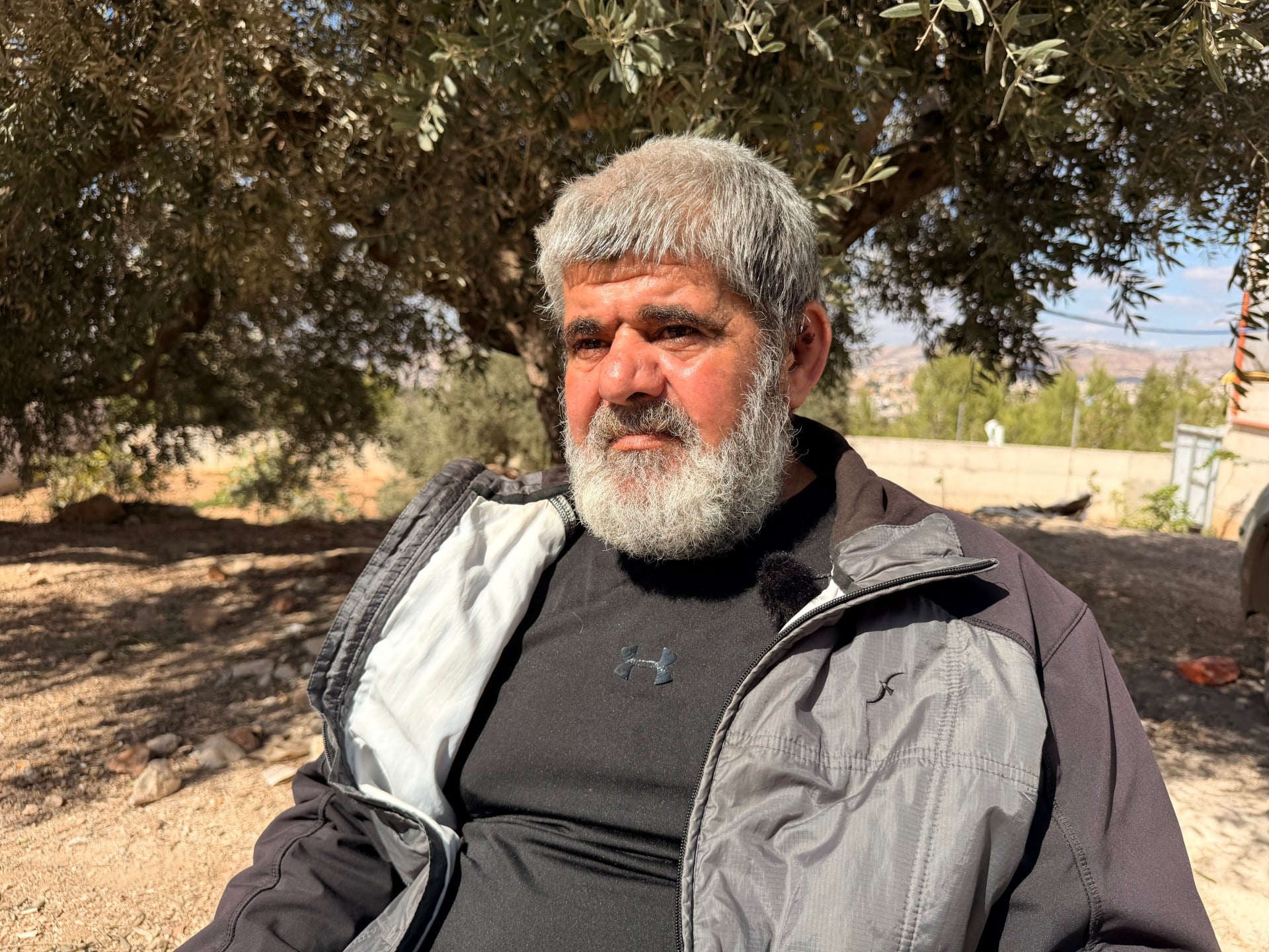 Cisjordanie : des colons israéliens ciblent la récolte d'olives