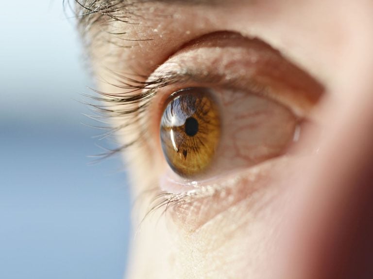 L'imagerie rétinienne pourrait détecter la fibrillation auriculaire précocement