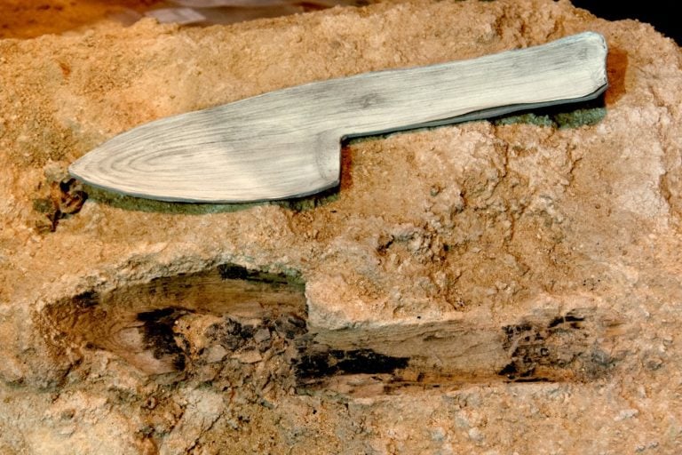 13 vestiges en bois révèlent la menuiserie néandertalienne en Espagne