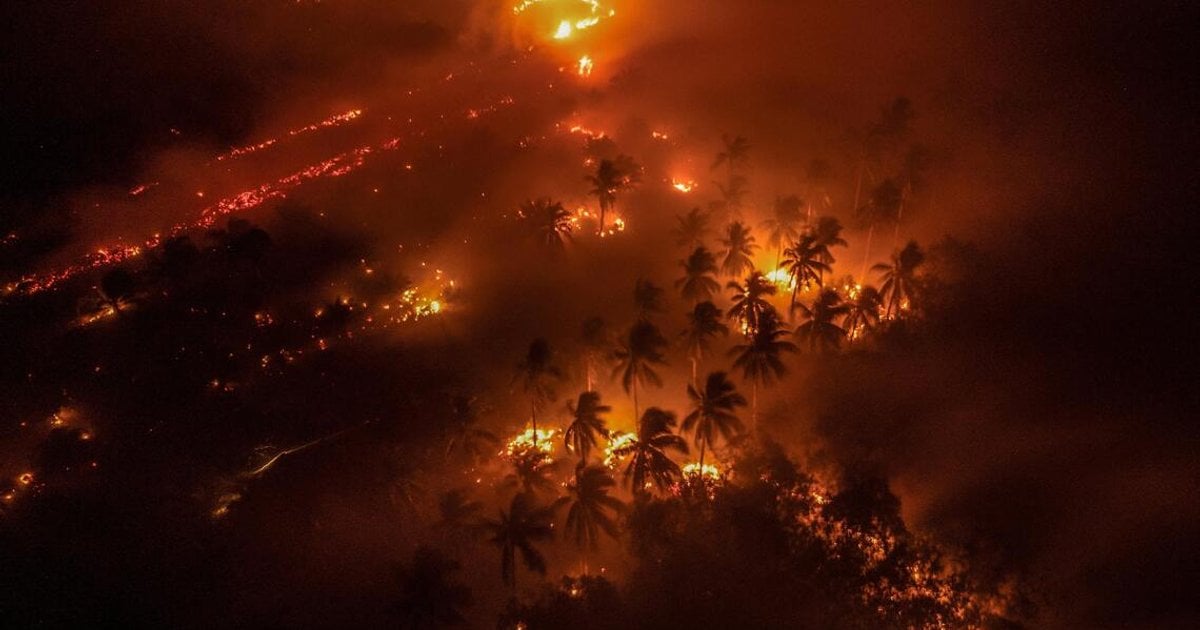 Indonésie fait face à sa pire saison de feux de forêt en onze ans