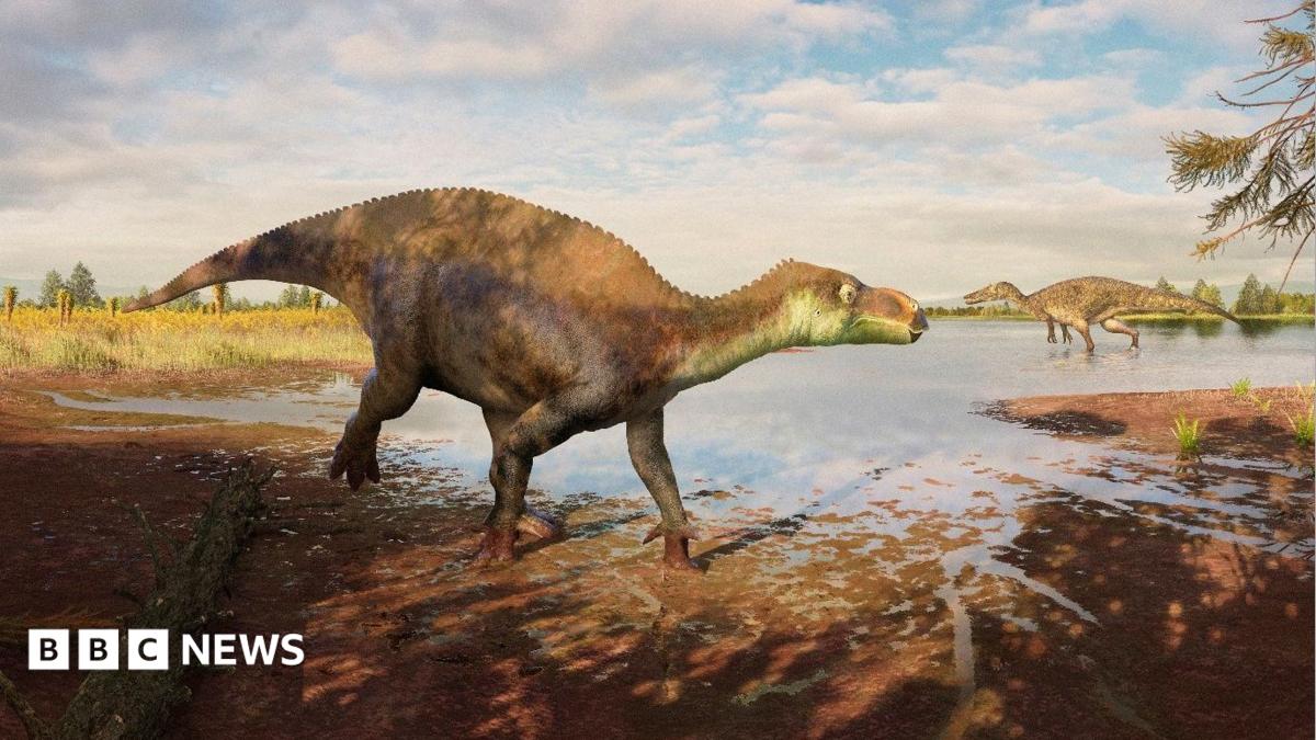 Un nouveau genre de dinosaure découvert au Surrey nommé en hommage à un père de famille