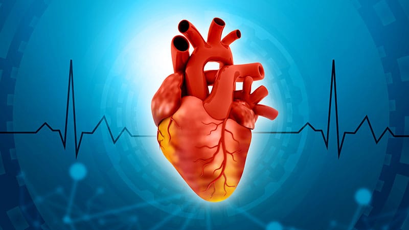 Cortisol capillaire et structure cardiaque : que dit la science