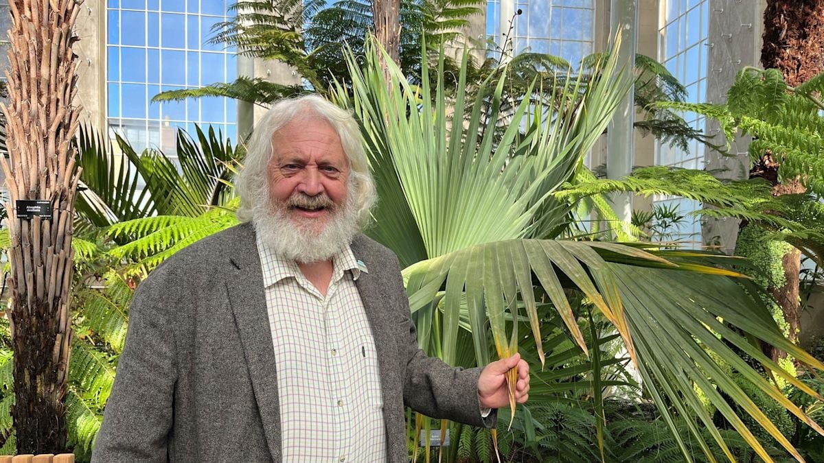 Le Royal Botanic Garden d'Édimbourg rouvre ses serres de palmiers