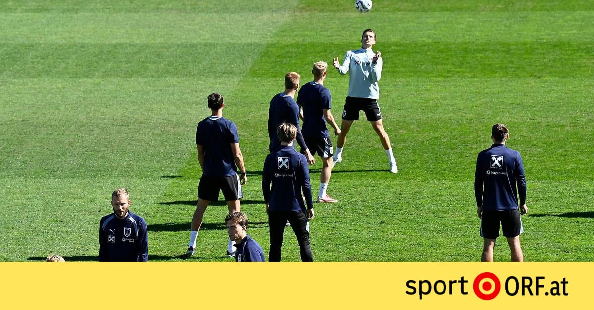 Ralf Rangnick critique sévèrement la pelouse du stade de Prishtina