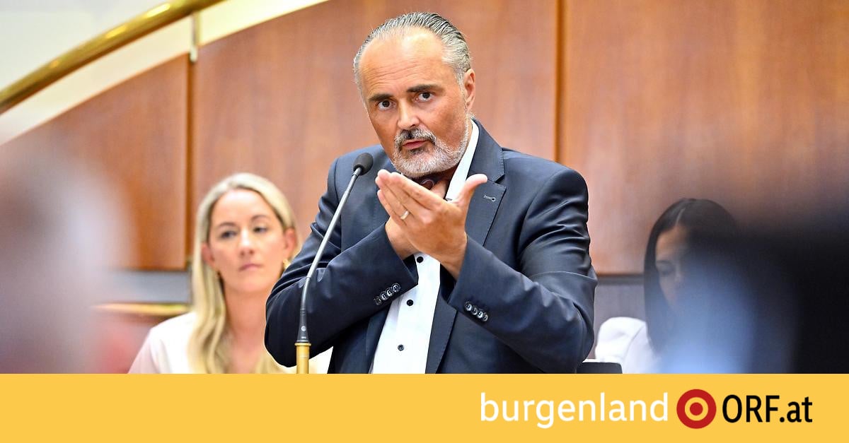 Hans Peter Doskozil conditionne son retour aux instances du SPÖ au départ d'Andreas Babler