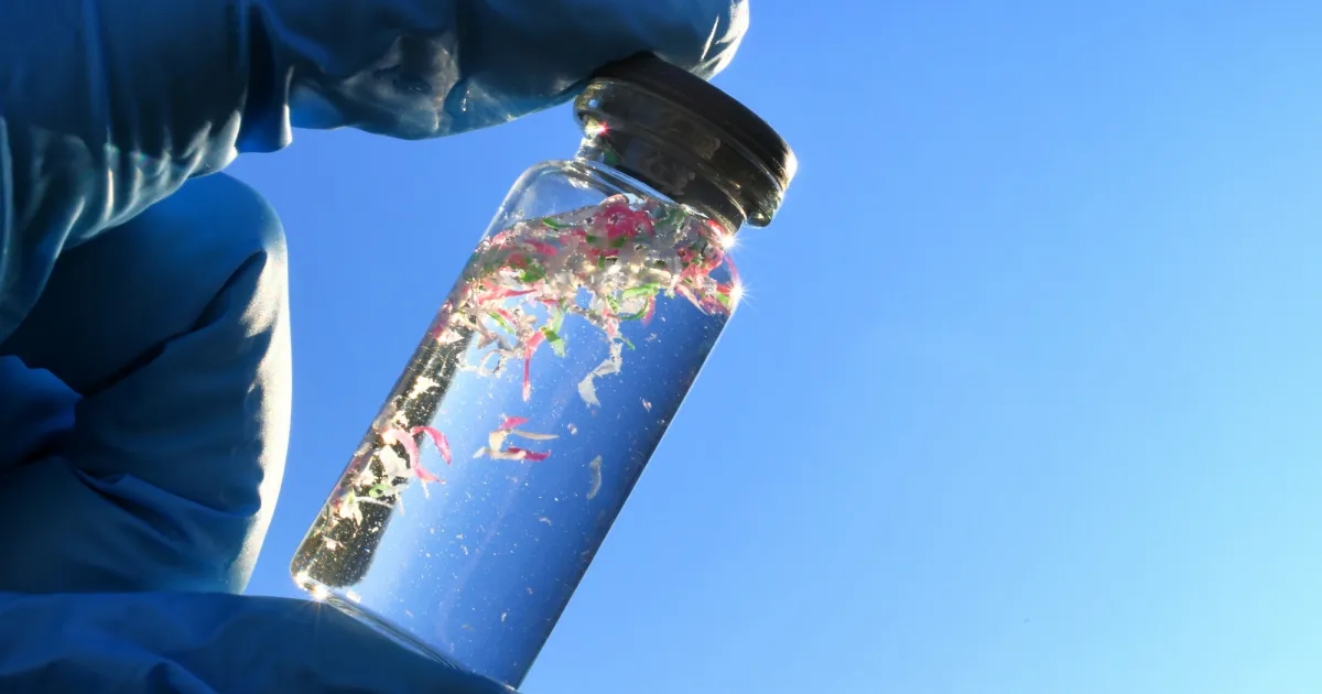 Des microplastiques généreraient des radicaux libres toxiques dans l'eau