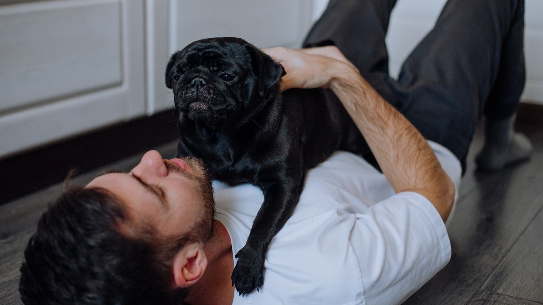 Les experts : parler aux animaux serait signe de plus d’empathie