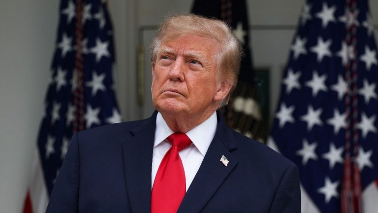 Donald Trump promet une prime d'un million de dollars contre la fraude électorale